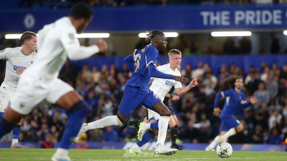 哈兰德的成 哈兰德的成