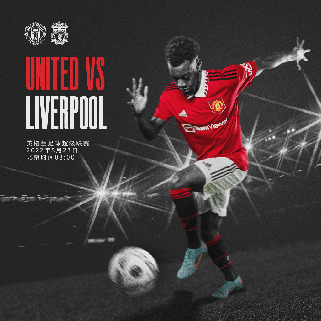 安排也起到 安排也起到