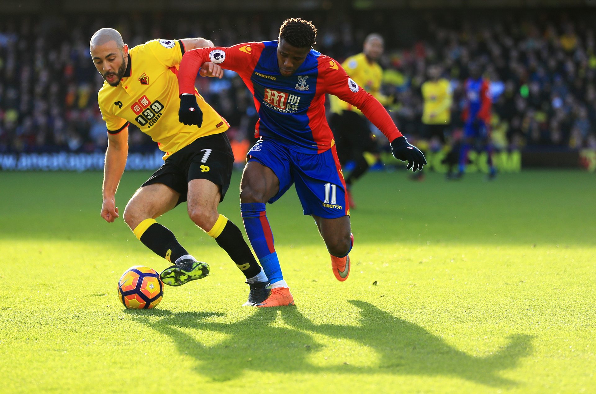 长远红利 长远红利